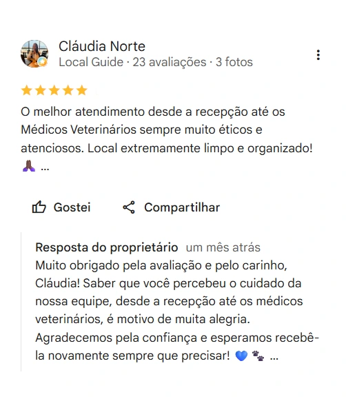 Avaliação real de tutor no Google