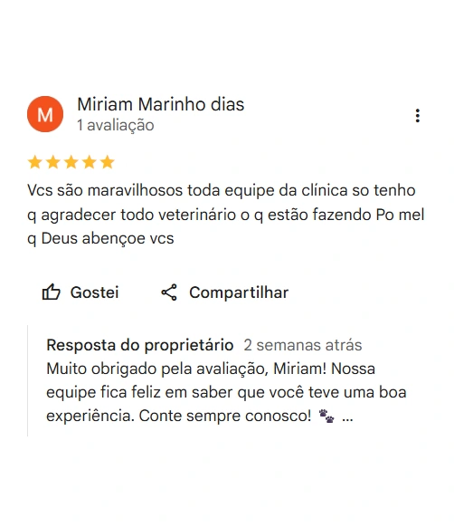 Avaliação real de tutor no Google