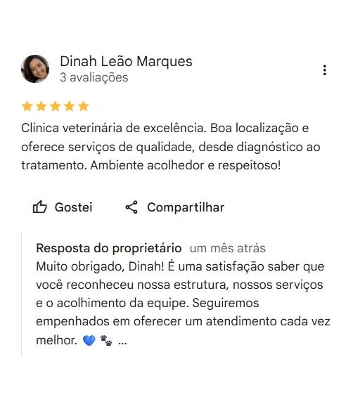 Avaliação real de tutor no Google
